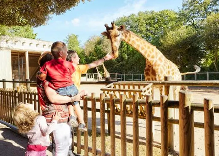 Agreable Refait A Neuf Dans De - Fr-1-92-946 公寓